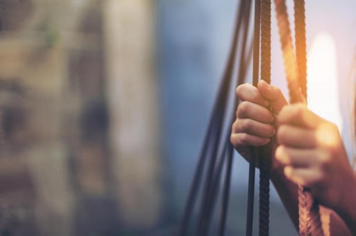 Международный день борьбы за отмену рабства и день 2D-художника