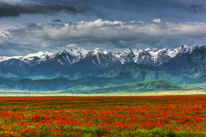 Погода без осадков ожидается на юге Казахстана