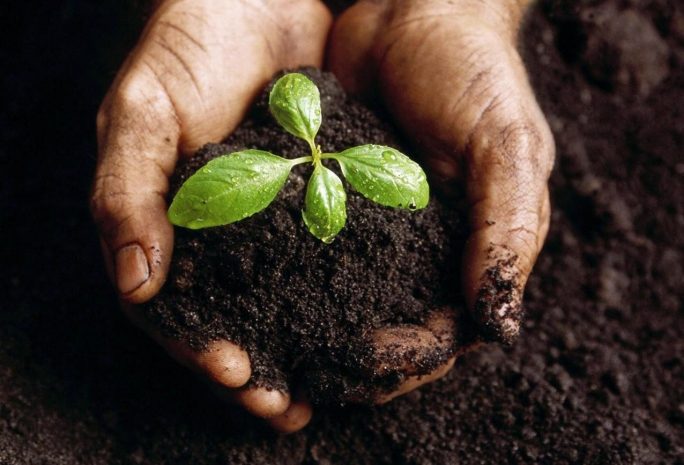 13 фактов самовольного вывоза чернозема предотвращено в Алматы