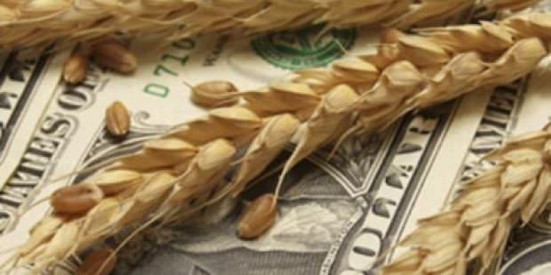 В «КазАгро» подвели итоги программы субсидирования