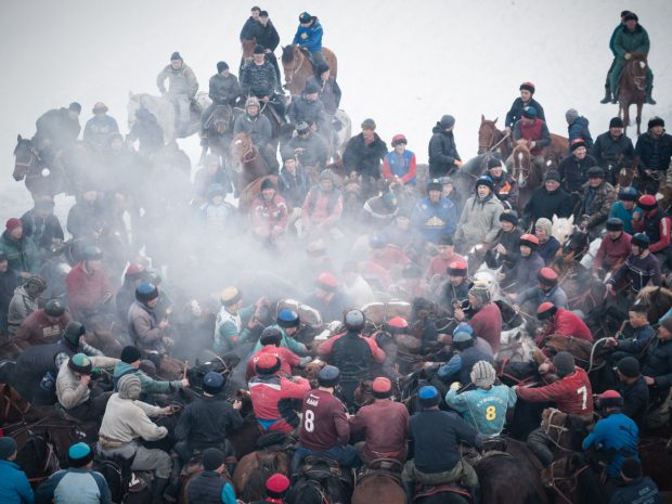 Ош облысында аламан бәйге кезінде жылқылардың жаппай қырылуы орын алды
