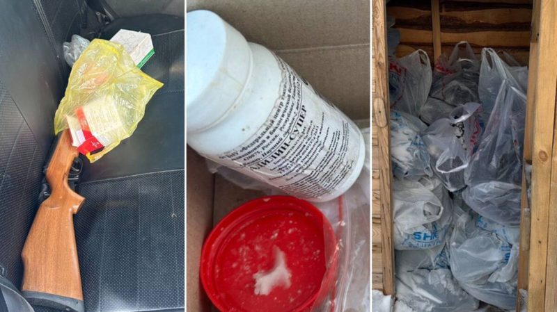 Суд оштрафовал акмолинца, торговавшего мясом бродячих собак