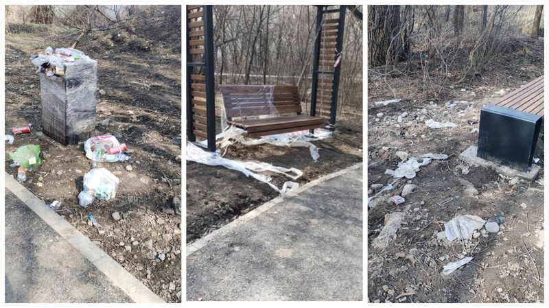 «Утопает в мусоре»: от акима Алматы требуют навести порядок в роще Баума