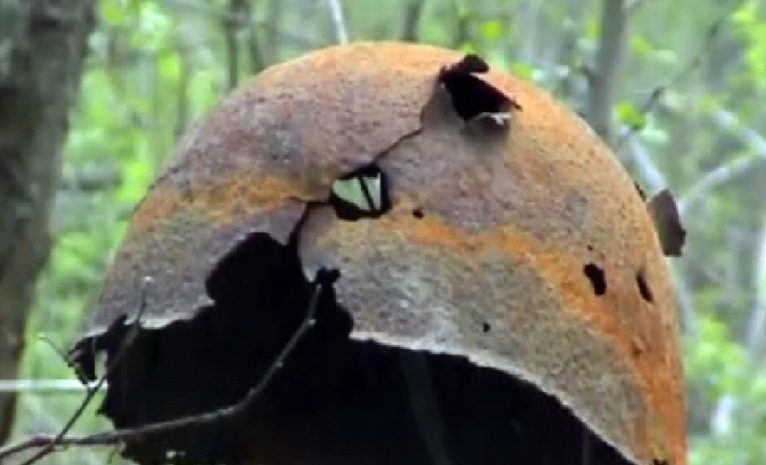 Солдата из КазССР опознали по медальону