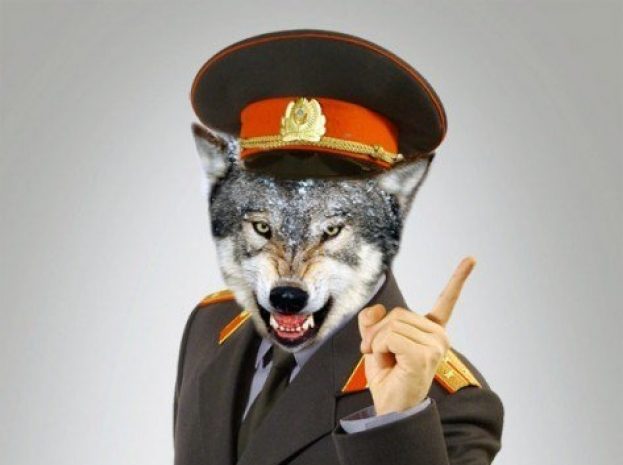 Кого защищают от народа оборотни в погонах?