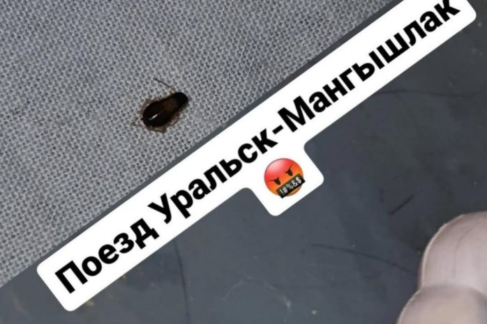 Пассажиры жалуются на тараканов в вагонах поезда Мангышлак – Уральск