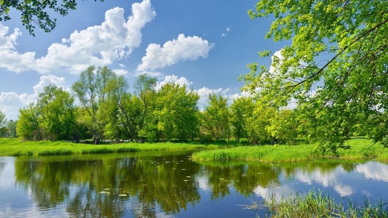 Об июльской погоде рассказали синоптики