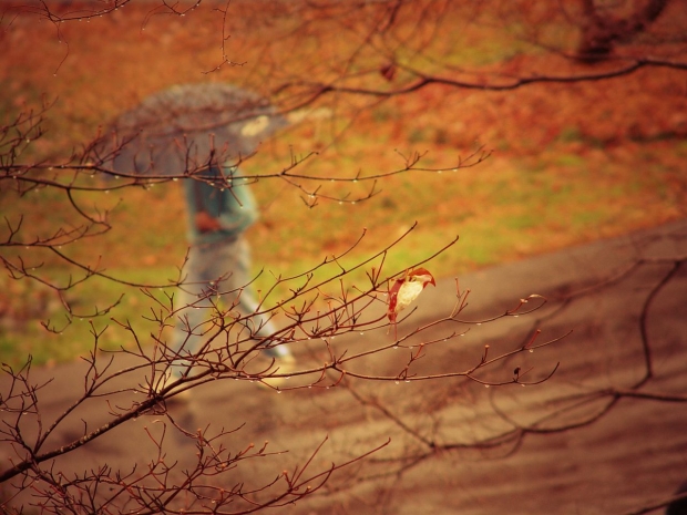 Дожди пройдут на западе Казахстана