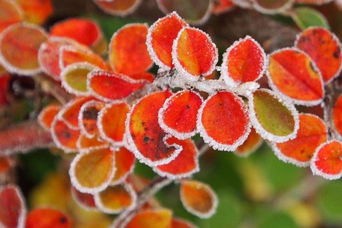 Ночные заморозки ожидаются в Актюбинской и Павлодарской областях