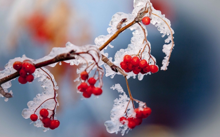 Морозы до 30 градусов ожидаются в Казахстане