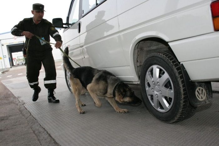 Казахстанец пытался ввезти в Россию 125 литров водки