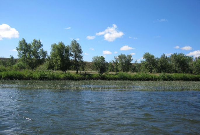 Неизвестный на моторной лодке разрезал женщину в Уральске