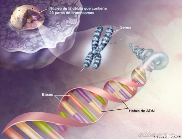 Назарбаев предлагает развивать робототехнику и генную иженерию