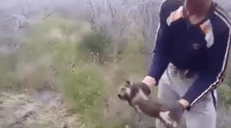 Истязание животных стоит миллион тенге