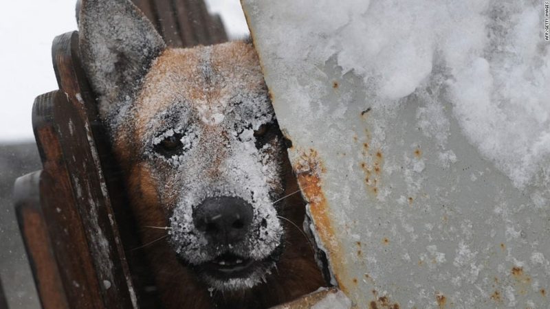 Казахстанские морозы будут сильней крещенскихЭксклюзив
