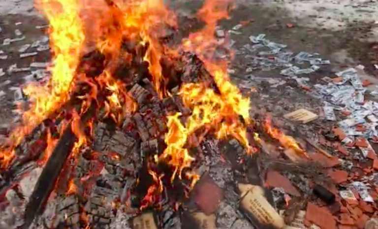 В Подмосковье на криптомасленице сожгли доллары