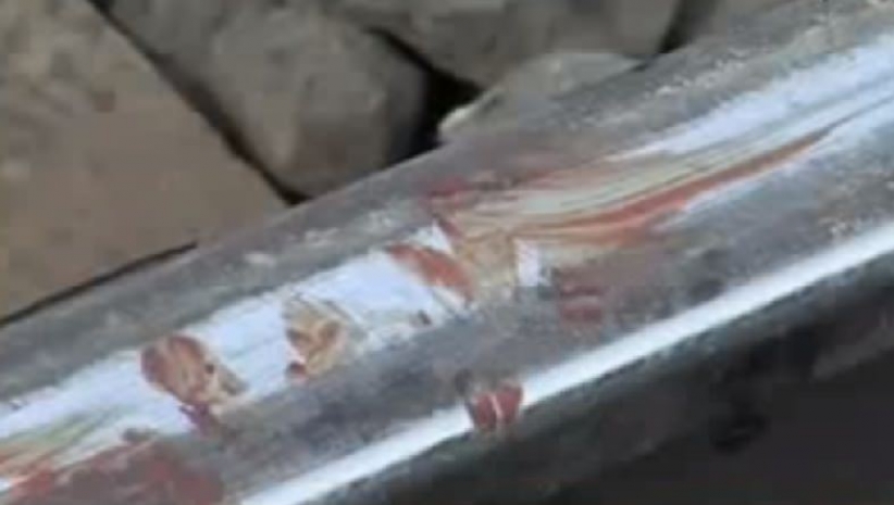 Поезд переехал пару, которая занималась любовью на путях. Видео