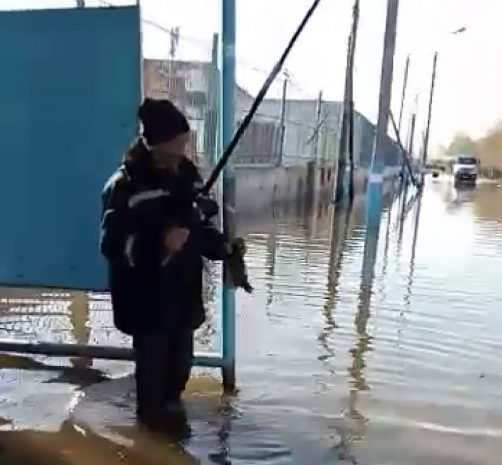 Видео с ловлей рыбы на «затопленной улице Петропавловска» развеселило пользователей соцсетей