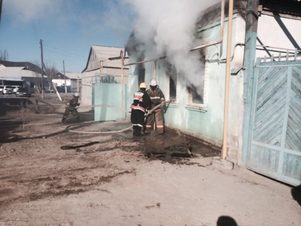 В Кызылорде 11-летняя Аружан спасла младшую сестру и двух братьев