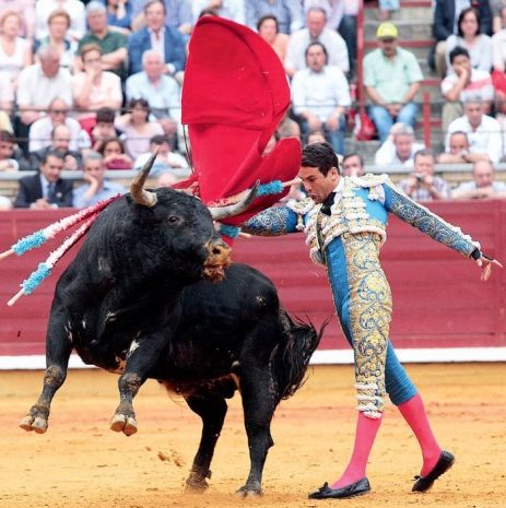 Кровавый спорт