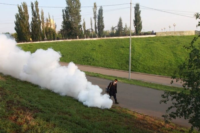 В Павлодарской области готовятся к нашествию гнуса