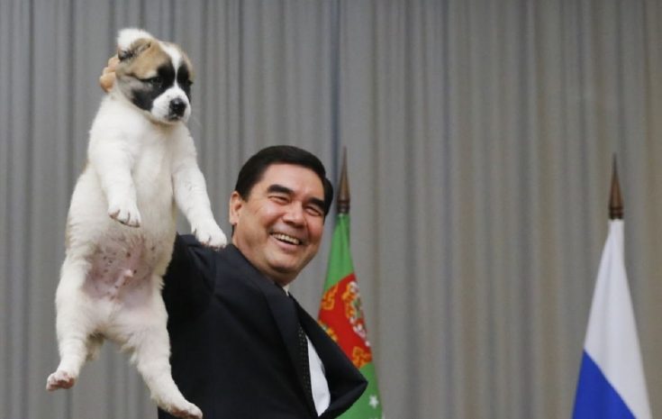 Гурбангулы Бердымухамедова вдохновили алабаи