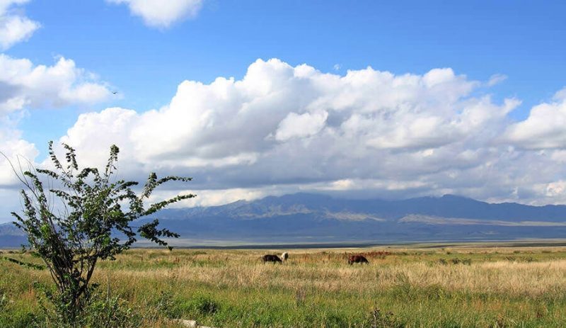 Швейцарскую семью спасли в степи Алматинской области