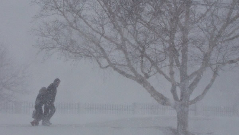 Метели ожидаются в большинстве регионов Казахстана в воскресенье
