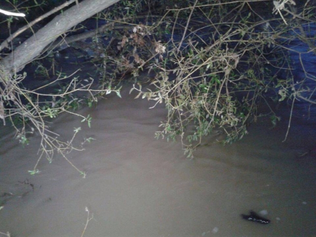 Еще один труп обнаружен в одной из рек Алматы