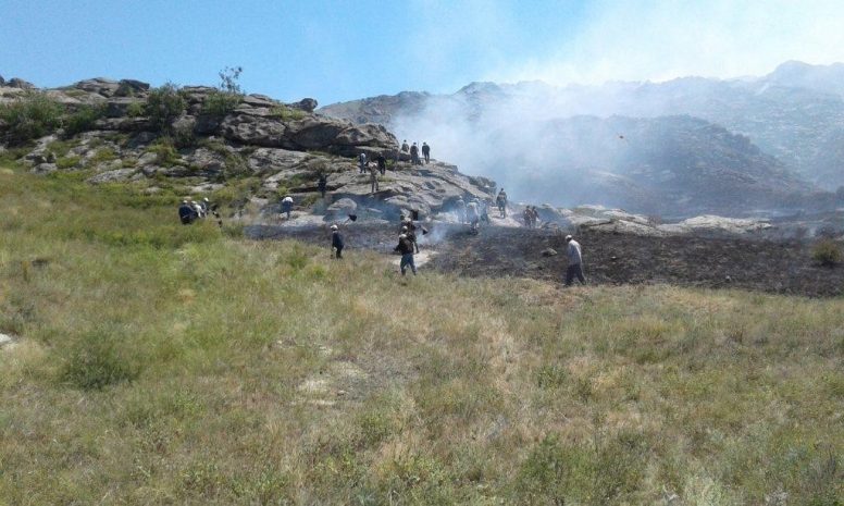 В Атырауской области выгорело около тысячи гектаров степи