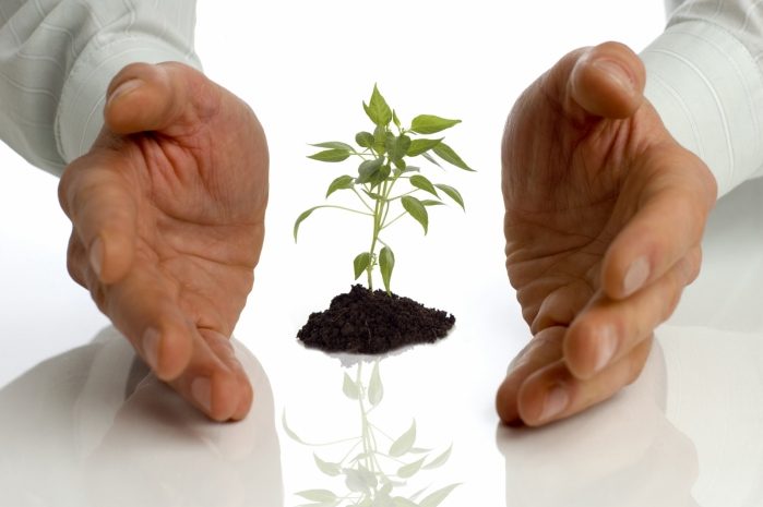 Банки не заинтересованы в финансировании МСБ — эксперт