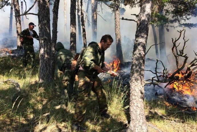 Горит лес на горе Жеке Батыр в Боровом