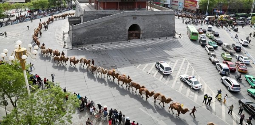 Поезд, отправленный из Украины в Китай по «Шелковому пути», потерялся в Казахстане