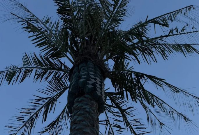 На состояние набережных пальм пожаловались жители Актау