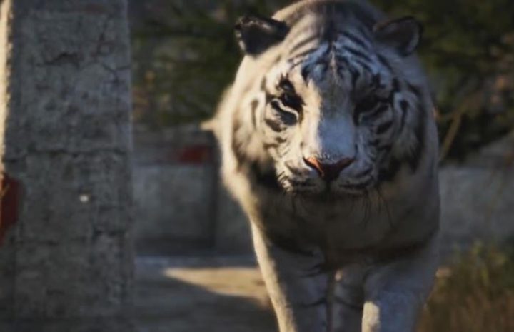 Far Cry 4 получил хорошие оценки в прессе