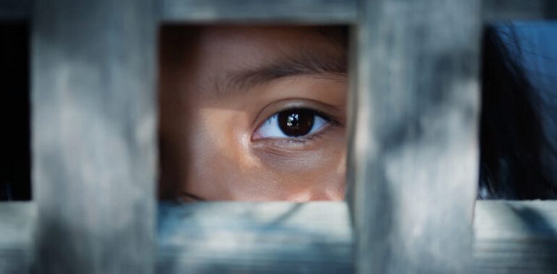 Мужчина кормил детей мясом собак и кошек в Шымкенте