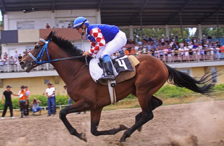 14 августа на ипподроме Алматы стартует 6-й скаковой день