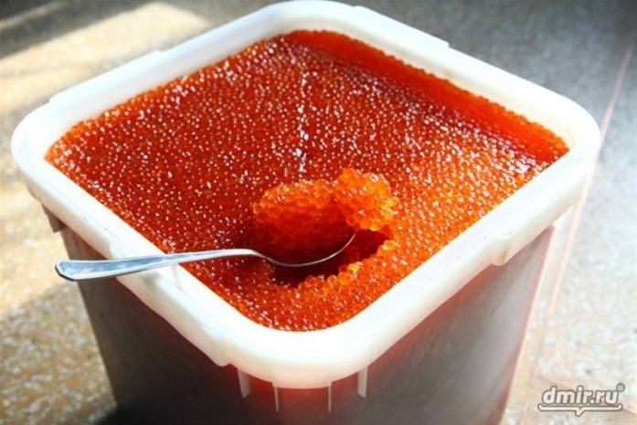 Рабочие на Камчатке украли пять вёдер красной икры, чтобы купить билеты домой