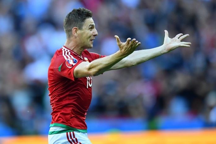 Назван лучший гол на Евро-2016