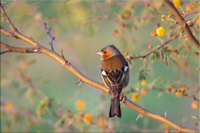 Облачная погода с прояснениями ожидается в Казахстане