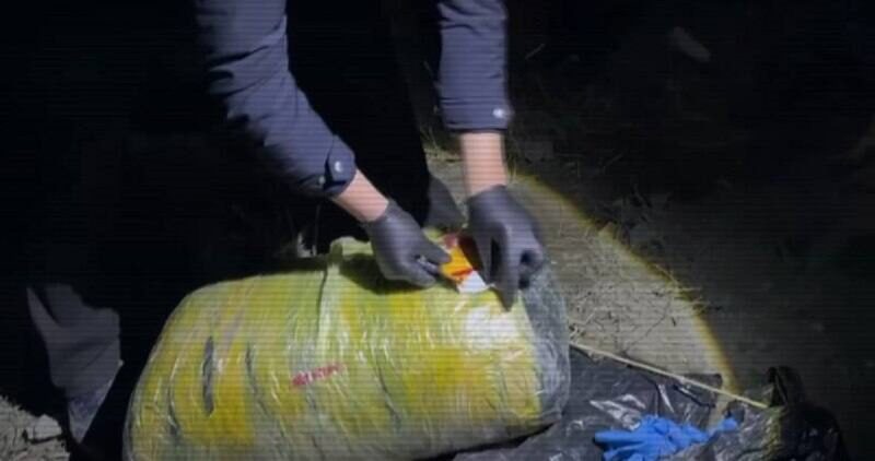 Наркоканал на миллионы долларов ликвидирован в области Улытау