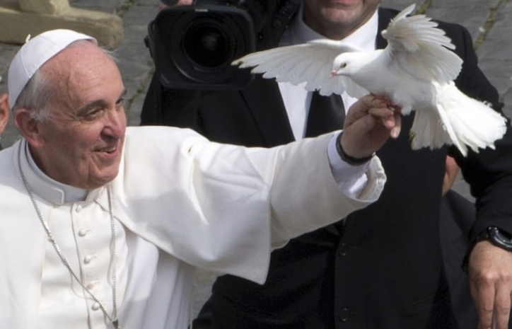 В Ватикане завели ястреба для защиты папских голубей