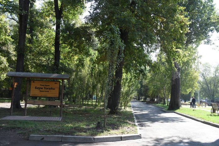 Экосистему сохранят при благоустройстве рощи Баума в Алматы