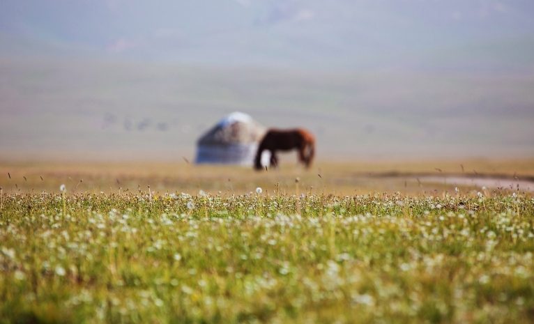 Азимбай Гали: Что делать казахам, чтобы не исчезнуть как нация