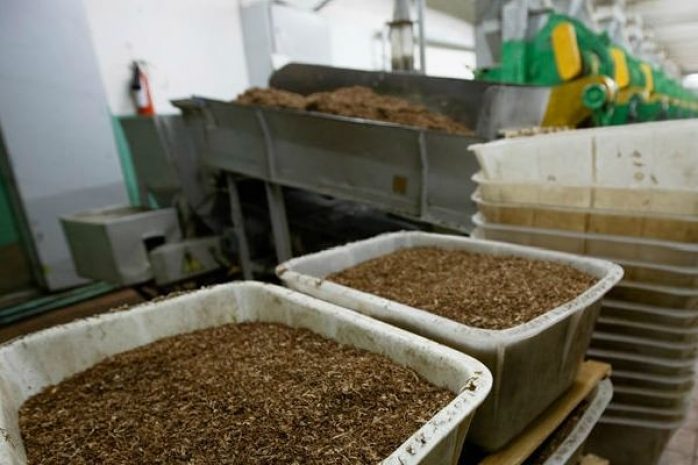 В ТС готовится запрет жевательного и нюхательного табака