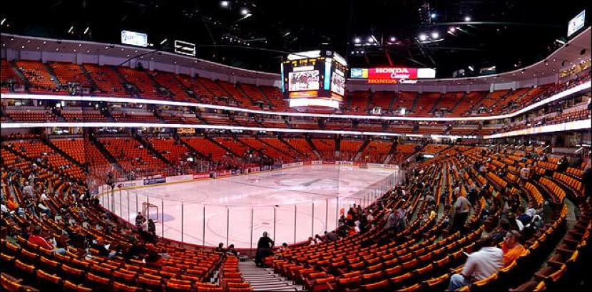 Игроки «Анахайма» сыграют в камуфляжных свитерах