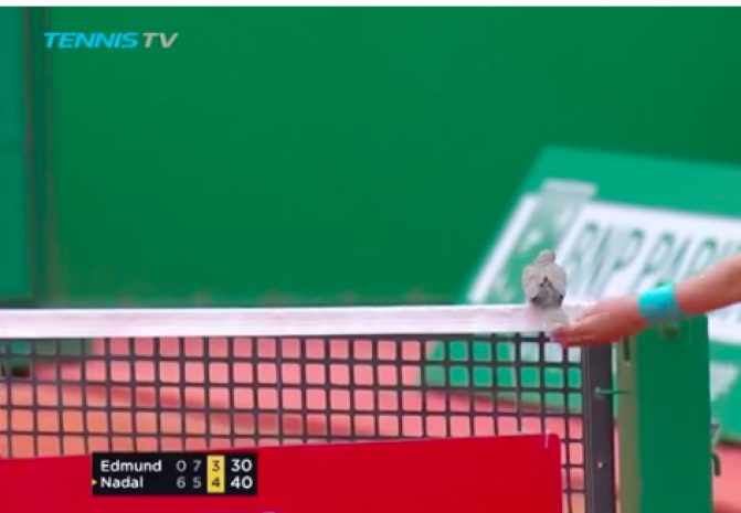 Наглый голубь прервал теннисный матч с участием Надаля. ВИДЕО