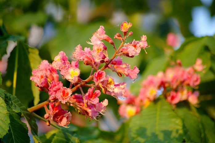 Жаркую погоду сменят дожди в Казахстане