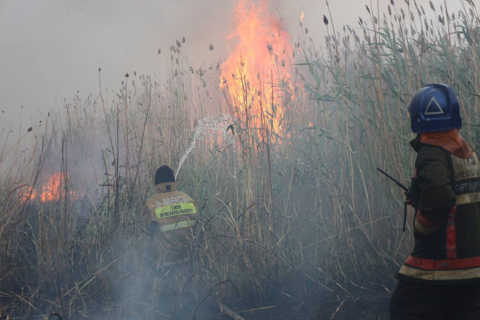 Столичные пожарные продолжают тушение сухостоя