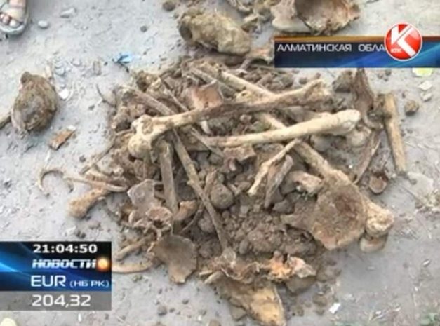 При строительстве трубопровода в РК нашли человеческие останки